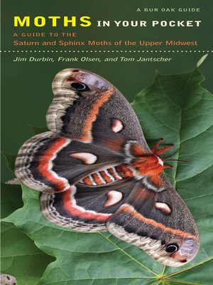 cover image of Moths in Your Pocket